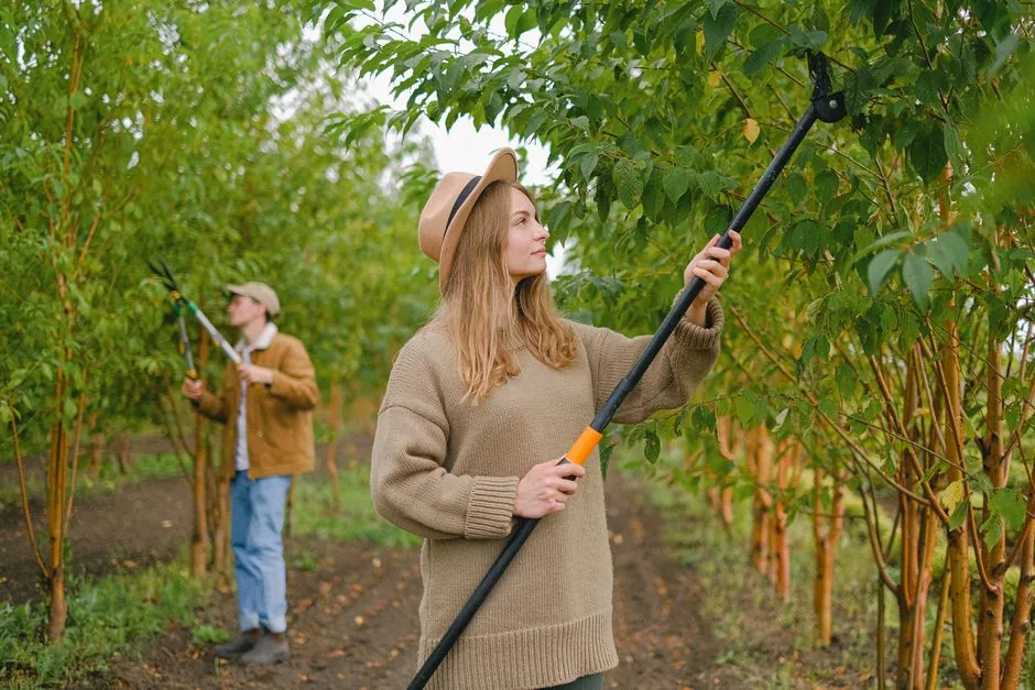 Entretien d'espaces verts — ARBORUS Béziers