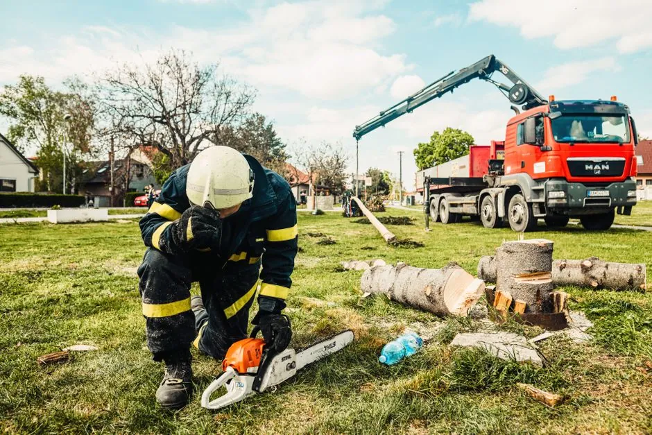 Arboriste professionnel en intervention à Béziers — ARBORUS